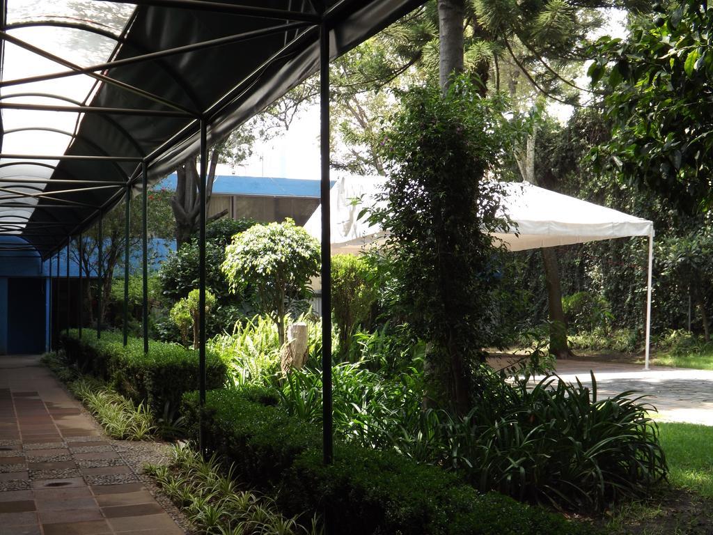 Pedregal Palace Mexico City Ngoại thất bức ảnh