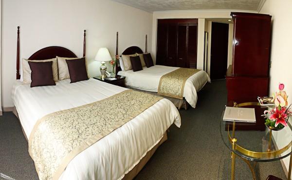 Pedregal Palace Mexico City Phòng bức ảnh